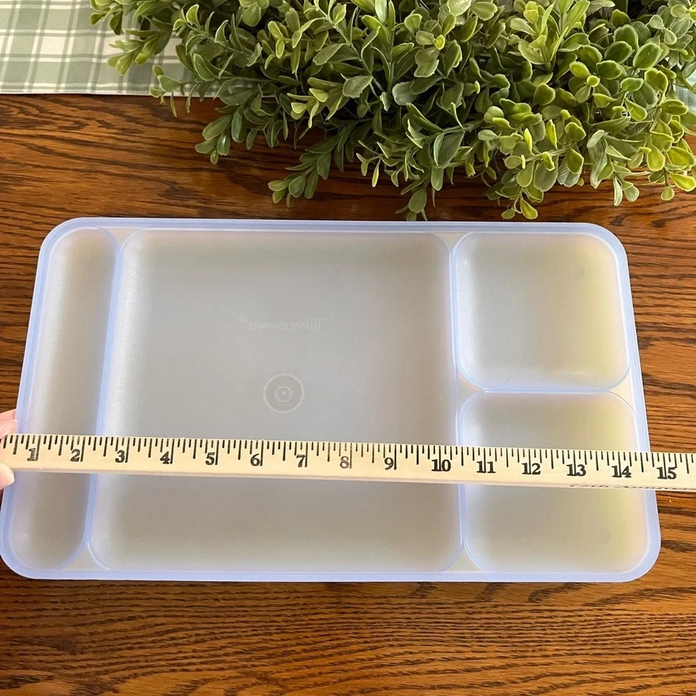 Tupperware Classic Divided Picnic Camping‎ Trays Set of 4 Multicolor #1535